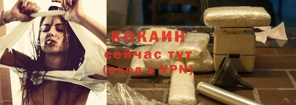стафф Надым