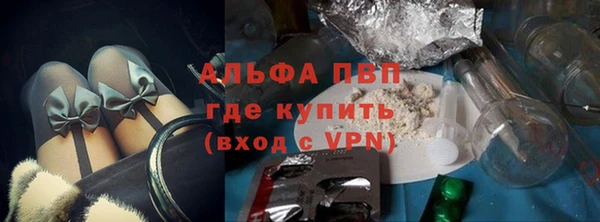 стафф Надым