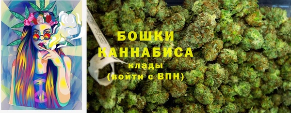 стафф Надым