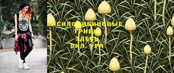 apvp Наволоки