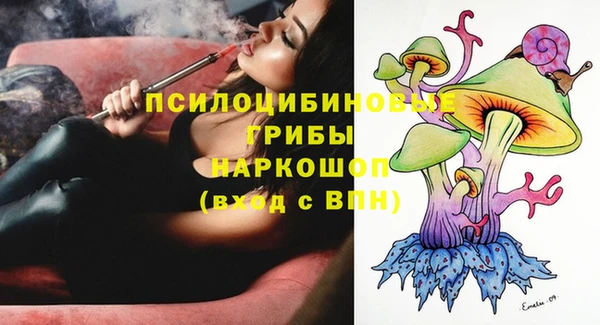 стафф Надым
