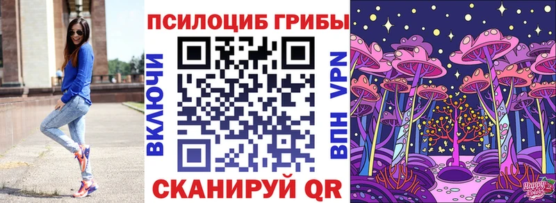 Псилоцибиновые грибы мицелий  Купить  Киржач 